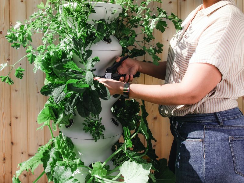 Sample Ad: Gardening friends wanted